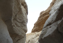 ???? Disparition d’un père et ses cinq enfants qui se sont rendus dans la région de la Mer Morte