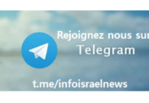 ???? NOUVEAU : REJOIGNEZ NOUS SUR TELEGRAM !
