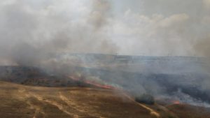 🔴 Intifada de ballons : Les incendies reprennent dans le sud en bordure de Gaza : Shaar Haneguev, Eshkol, Sdot Neguev…