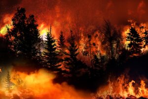 Un pompier pyromane a terrorisé le sud-est de la France