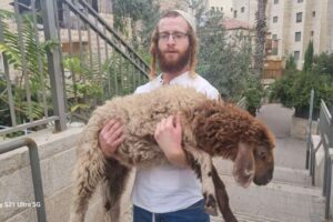 Un jeune homme arrêté avec un agneau alors qu’il s’apprêtait à le sacrifier sur le Mont du Temple