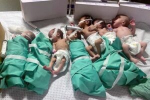 Les photos de nourrissons à Shifa ne sont pas crédibles