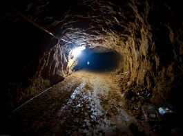 Israël et Washington cherchent une issue : le plan Kushner-Netanyahou pour expulser 200 terroristes de Rafah échoue faute de pays d’accueil