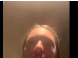 Canada : une jeune femme juive agressée par des militants pro-palestiniens à Toronto – « Le message de la foule, c’est de mourir »