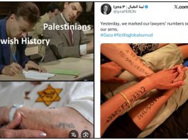 Quand les militants pro-Hamas de la flottille osent détourner la mémoire de la Shoah