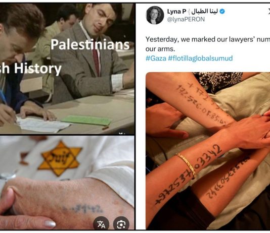 Quand les militants pro-Hamas de la flottille osent détourner la mémoire de la Shoah