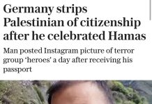 Citoyenneté révoquée : l’Allemagne met en garde contre le soutien aux terroristes