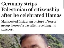 Citoyenneté révoquée : l’Allemagne met en garde contre le soutien aux terroristes