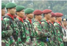 L’Indonésie prête à envoyer 20 000 soldats à Gaza : une mission de paix qui interroge