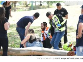 Tragédie au Sharon : un ouvrier de 41 ans tué par la chute d’un arbre lors de travaux d’élagage