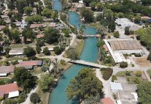 Panique à Nahal : un chacal enragé sème la peur dans le nord d’Israël