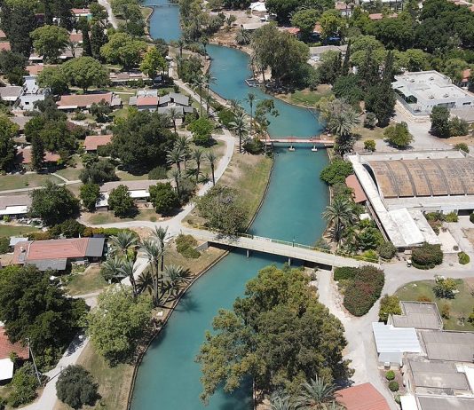 Panique à Nahal : un chacal enragé sème la peur dans le nord d’Israël