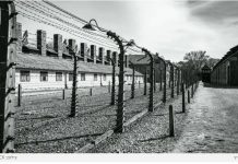Un député polonais s’en prend aux Juifs devant les portes d’Auschwitz