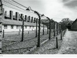 Un député polonais s’en prend aux Juifs devant les portes d’Auschwitz