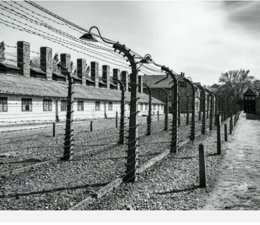 Un député polonais s’en prend aux Juifs devant les portes d’Auschwitz