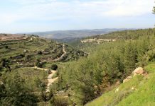 Alerte sécuritaire : l’Iran arme discrètement la Judée-Samarie pour préparer une nouvelle vague d’attentats