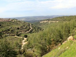 Alerte sécuritaire : l’Iran arme discrètement la Judée-Samarie pour préparer une nouvelle vague d’attentats