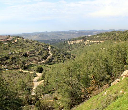 Alerte sécuritaire : l’Iran arme discrètement la Judée-Samarie pour préparer une nouvelle vague d’attentats