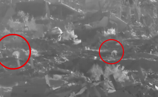 Rafah : la faim, la soif et l’étau de Tsahal referment le ‘dernier bastion’ du Hamas sous terre - Infos-Israel.News