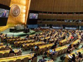 Coup dur diplomatique : Washington obtient une majorité à l’ONU pour un « chemin vers un État palestinien »