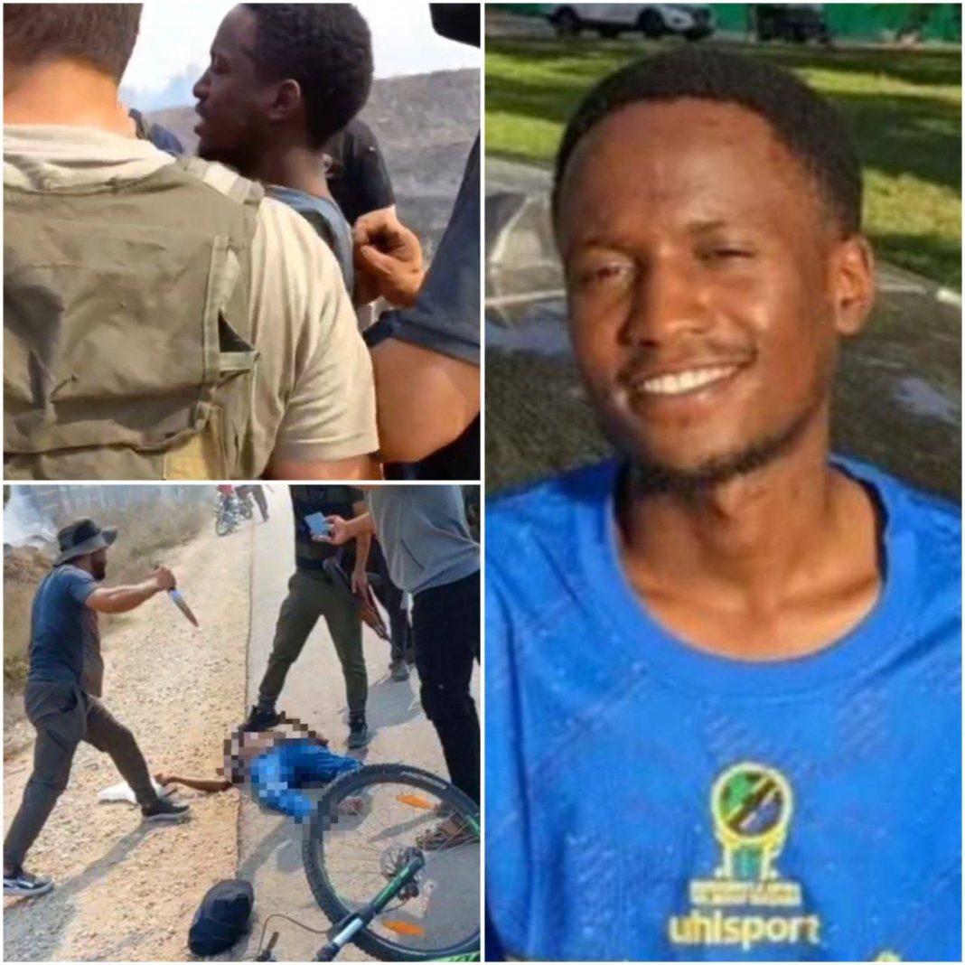 photo_2025-11-06_11-50-39