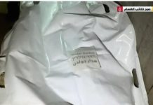 🔴 Le corps du capitaine Hadar Goldin retrouvé à Rafah ? Israël face à l’épreuve du souvenir et de la justice