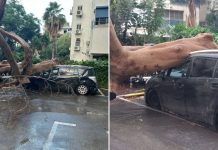Tempête meurtrière en Israël : un père s’effondre en sauvant sa fille, réanimé après 11 chocs électriques