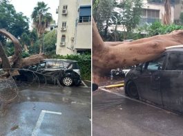 Tempête meurtrière en Israël : un père s’effondre en sauvant sa fille, réanimé après 11 chocs électriques