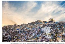 Plus de 200 milliards de shekels partis à la poubelle : Israël dévoile l’ampleur catastrophique du gaspillage alimentaire