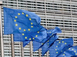 Des valises d’argent, et pas seulement du Qatar : un diplomate révèle comment l’Union européenne a financé le Hamas