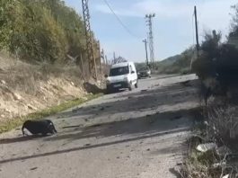 Tensions à la frontière nord : un drone israélien aurait frappé le sud du Liban selon des médias pro-Hezbollah