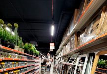 Rami Levy distribue 500 shekels aux clients : voici comment vous pouvez aussi en profiter