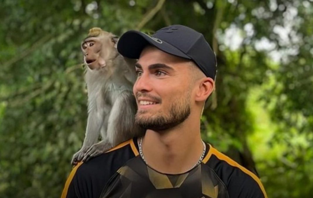 a11e72ef-6e2e-48e2-8ffe-ecb24b874441