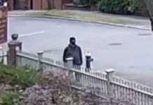 Attentat aux États-Unis : Trump suspend brutalement la loterie de la Green Card après un choc sécuritaire majeur