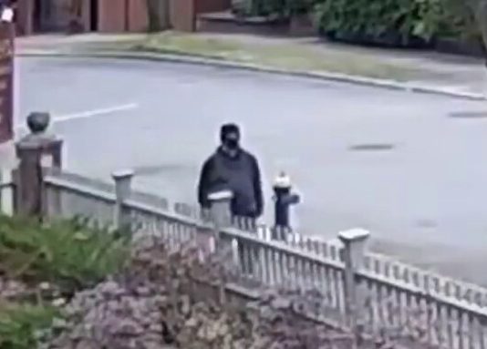 Attentat aux États-Unis : Trump suspend brutalement la loterie de la Green Card après un choc sécuritaire majeur