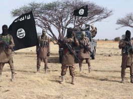 Trump a annoncé : les États-Unis ont frappé des cibles de Daech au Nigeria
