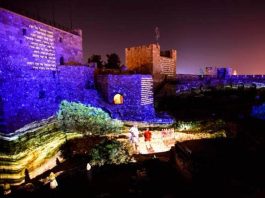 Moustiques terroristes ! Vous vous agitez pour rien autour de la Lumière d’Israël !