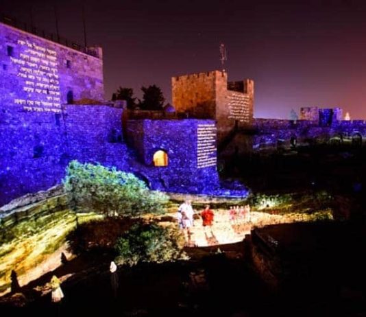 Moustiques terroristes ! Vous vous agitez pour rien autour de la Lumière d’Israël !