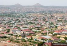 Les Houthis : les Israéliens présents au Somaliland seront des cibles militaires légitimes