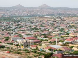 Les Houthis : les Israéliens présents au Somaliland seront des cibles militaires légitimes