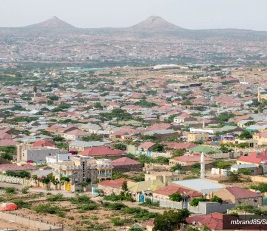 Les Houthis : les Israéliens présents au Somaliland seront des cibles militaires légitimes