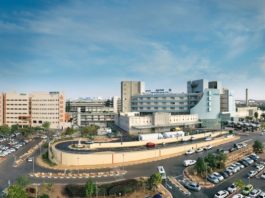 Soroka dément : “Abo-Shabab n’a pas été évacué chez nous et n’est pas mort ici” — confusion et tensions autour de la mort du chef de milice de Gaza