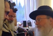 Face à l’antisémitisme en France, l’instruction du « Yanouka » à la communauté juive : qui doit monter en Israël – et qui ne doit pas partir