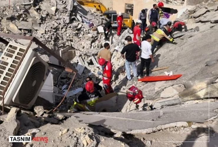 BJKbudsUZl_0_0_1181_1181_0_x-large