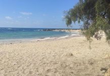 Mystère au bord du lac de Tibériade : la famille qui vivait isolée depuis des années a disparu sans laisser de traces