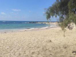 Mystère au bord du lac de Tibériade : la famille qui vivait isolée depuis des années a disparu sans laisser de traces