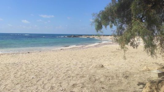 Mystère au bord du lac de Tibériade : la famille qui vivait isolée depuis des années a disparu sans laisser de traces