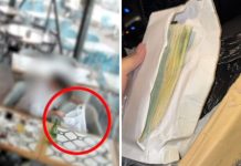Il oublie 50 000 shekels en liquide au restaurant : le client suivant « emballe » l’argent avec les restes… la police retrouve la somme