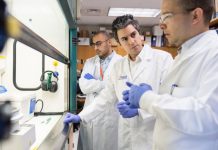 Bilan des prévisions 2025 : TikTok sauvé, l’IA en demi-teinte et le vaccin contre le cancer encore en vue