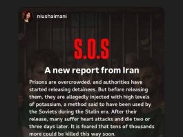 S.O.S depuis l’Iran : que se cache-t-il derrière les accusations de morts silencieuses après la libération des détenus ?